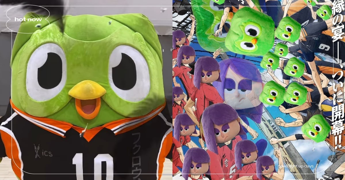 《排球少年》遭多鄰國惡搞！烏野高中全員變身綠色貓頭鷹，連比賽戰略都超強還原？ 排球少年、烏野高中、音駒高中、多鄰國、多鄰國迷因、綠色貓頭鷹、多鄰國貓頭鷹