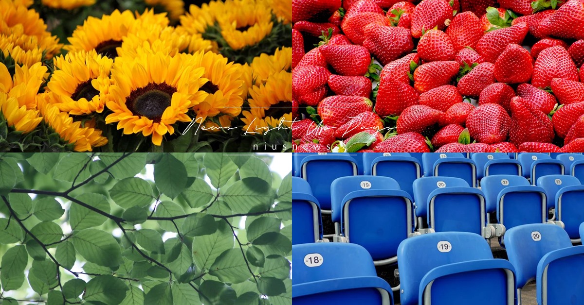 外商面試愛問「4色人格」心理測驗！選1顏色直接看出性格優缺點＋工作模式？ 心理測驗、4色人格、心測、顏色、升職、升職機會、弱點、