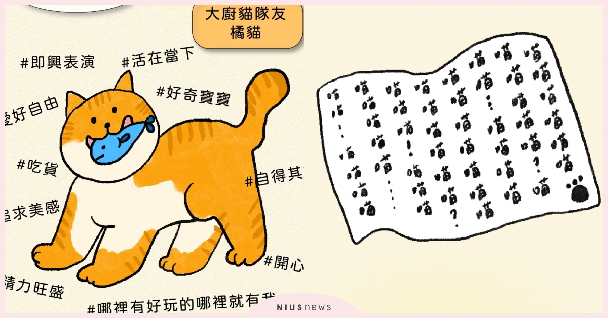 IG瘋玩「你是什麼貓險家」心理測驗！10道題測內在性格，是高冷黑貓還是樂天橘貓？ 心理測驗、心測、心理測驗、你是什麼貓險家、內在性格、貓咪