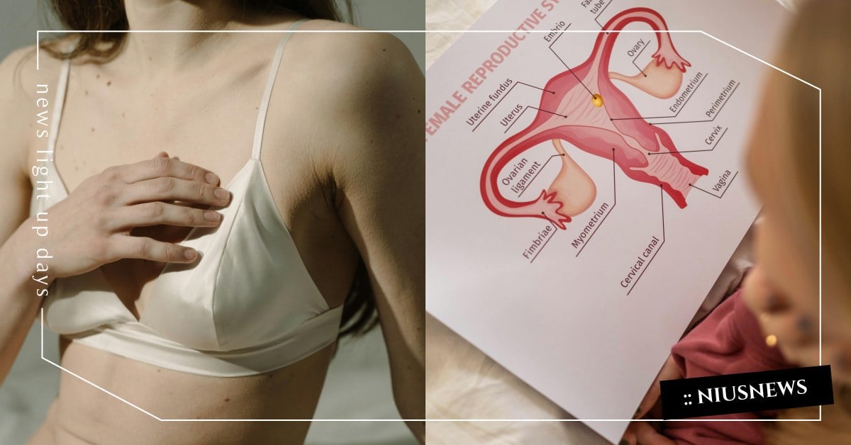 女性健檢項目要選哪些？5大檢查重點千萬不要漏掉，乳房超音波、HPV檢測都要做！ 健康檢查、健檢、乳房檢查