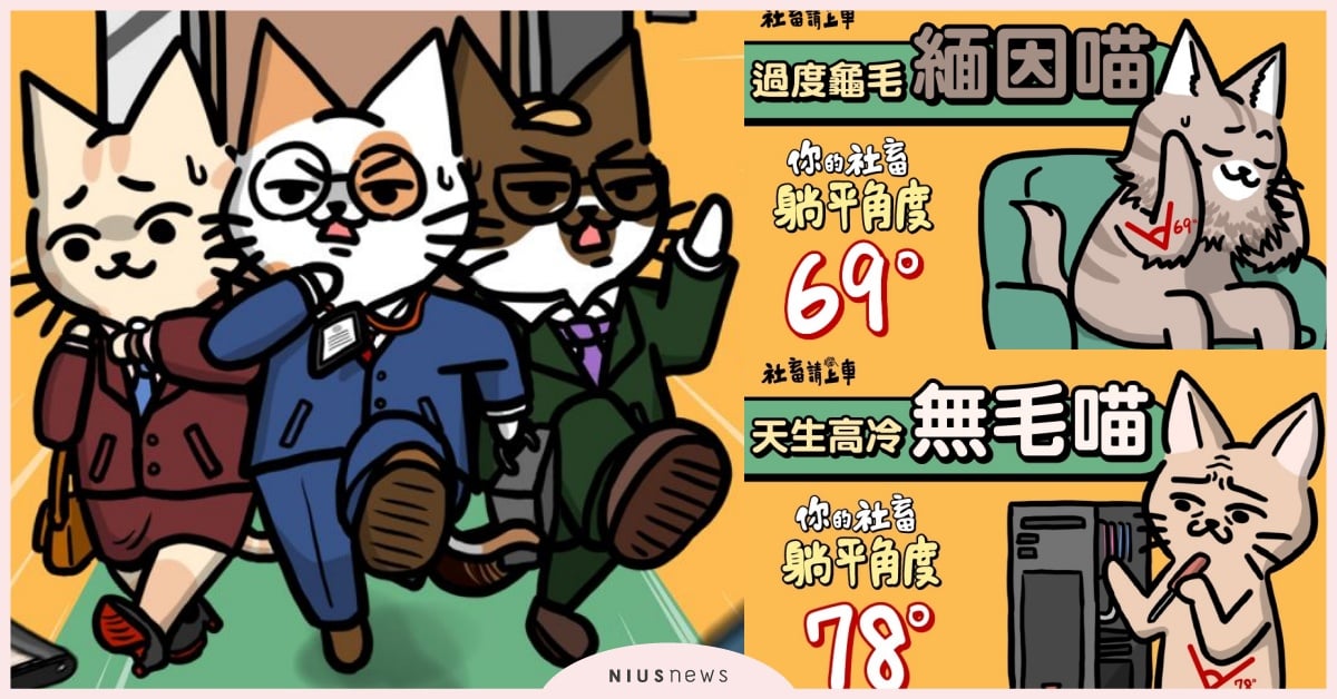 IG瘋玩「你的社畜躺平角度」心理測驗！12題測出貓咪結果圖，內在性格剖析超準 心理測驗、心測、心理測驗、社畜請上車、社畜、職場、內在性格