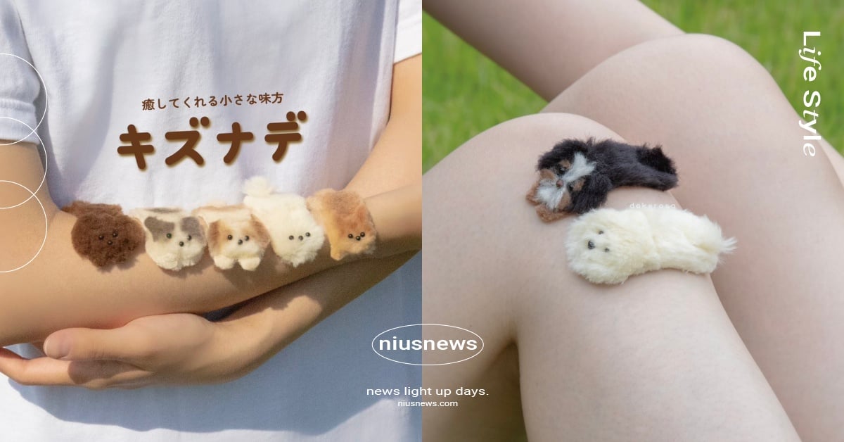 日本爆紅「毛茸茸狗狗OK繃」可愛登場！薩摩耶＆博美療癒現身，狗奴絕對要收藏！ 心靈絆創貼、毛茸茸狗狗OK繃、狗狗OK繃、日本小物、絆創膏、推特熱議、萌寵、可愛寵物、動物、寵物新聞