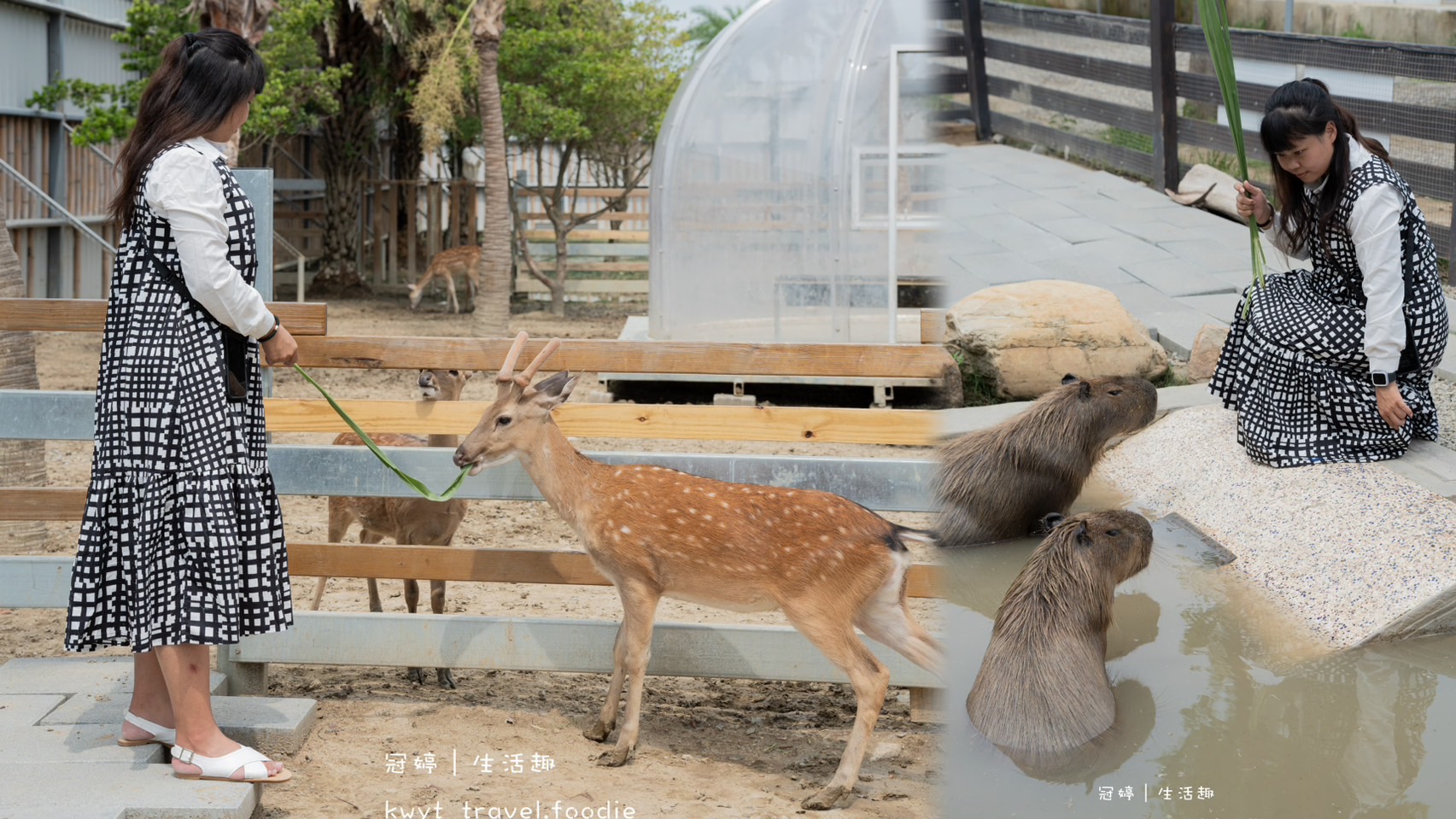 穿上MiFresa財財的手作基地，到廢物媽媽育兒農場走跳去，新竹景點推薦 