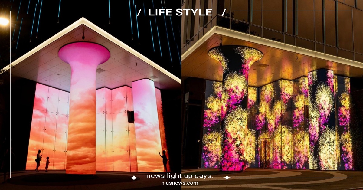 全台首座最大光廊「敦南之森」4大亮點！10公尺挑高設計，360度LED屏幕光之樹 敦南之森、Taipei Lumitree、凱越建設、Tiger Party、寶紘敦南商業大樓