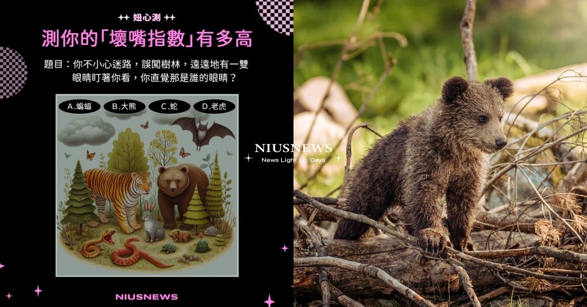 超準「壞嘴指數」心測！選一隻動物揭曉你有多毒舌，熊愛自娛娛人、蛇最容易得罪人？ 心理測驗、妞心測、心測、人格心測、動物心測、嘴賤、毒舌、壞嘴指數