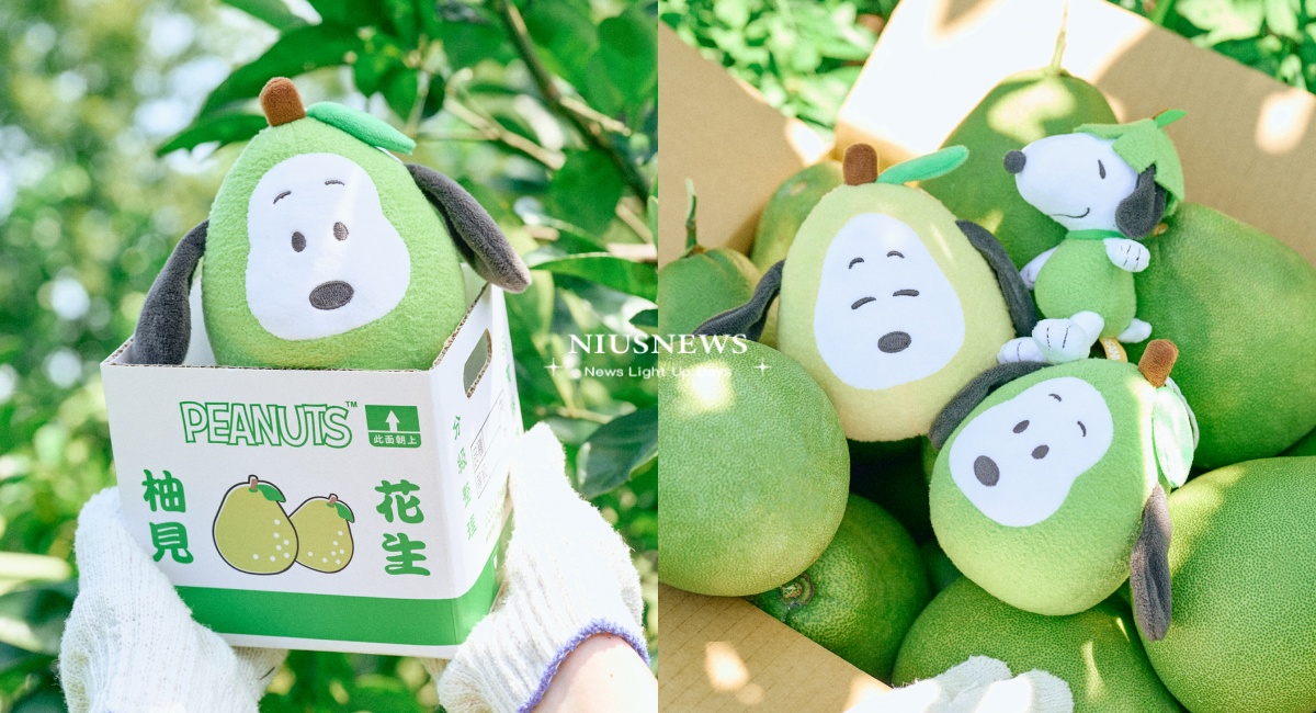 威秀影城「柚子史努比」限定商品售價＋開賣時間！紙箱禮盒包裝，Ｑ版娃娃必收 威秀影城史努比、Snoopy聯名、花生漫畫、PEANUTS、柚子史努比史努比中秋節