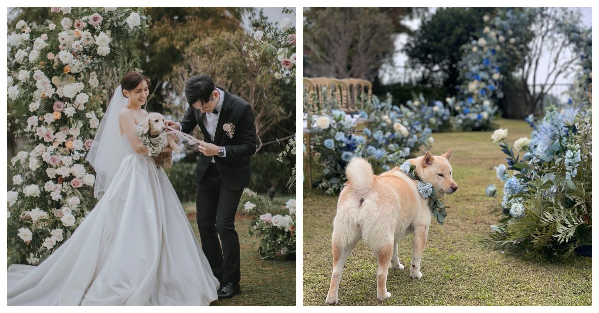攜手毛小孩見證浪漫誓約！全台寵物友善婚禮五大場地推薦 毛小孩、寵物、婚禮、場地、寵物友善