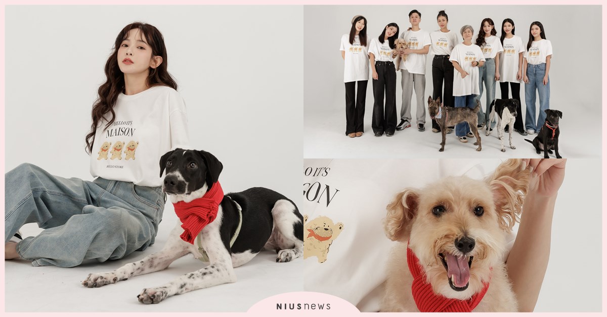 高個女孩的時髦秋冬穿搭，Bello女裝公益企劃開跑，送浪浪一個療癒暖冬 Bello、女裝、公益T恤、HALOOCHICHI、餃貓、小圓麵包、白豆干