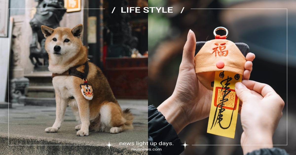 虎爺加持「毛孩平安符」太萌！寵物專屬只送不賣，有戴有保庇守護健康新年 毛孩平安符、虎爺加持毛孩平安符、虎爺加持平安符、新竹都城隍廟、新竹都城隍廟虎爺