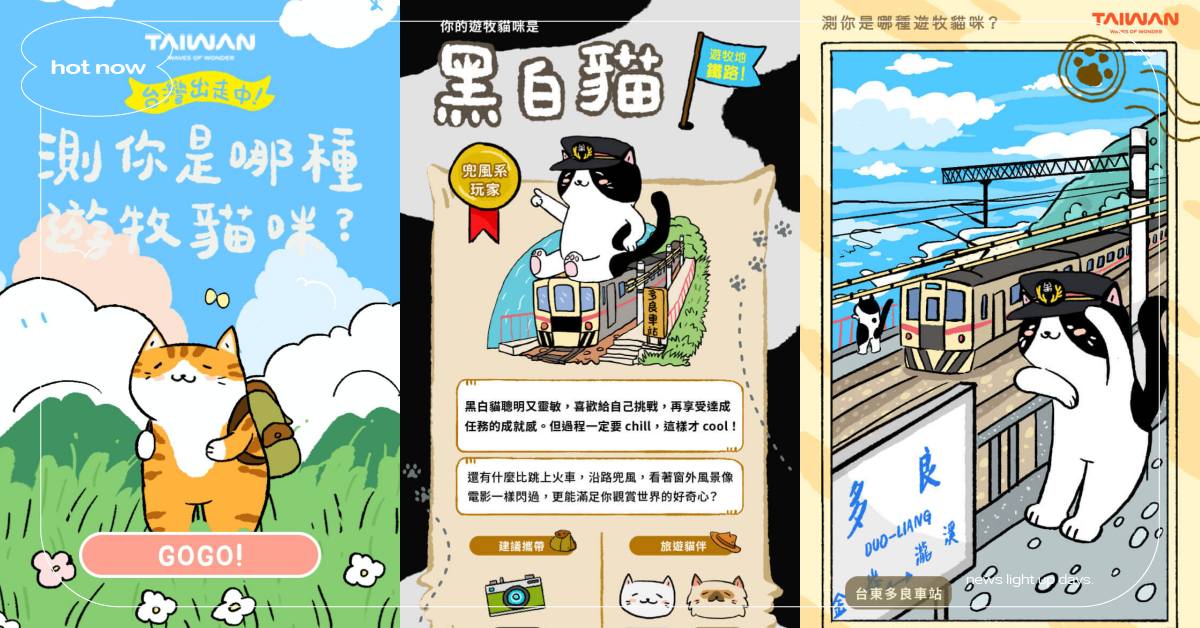 貓奴必玩「游牧貓咪」心理測驗！12題測出你是哪類游牧系貓貓，是紙箱貓、三花貓？ 心理測驗、游牧貓咪心理測驗、貓奴必玩心理測驗、游牧貓咪、喔熊