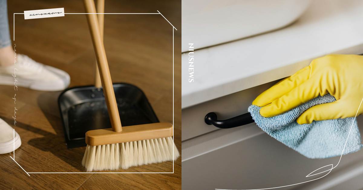 2025蛇年大掃除必丟8個物品！枯萎的盆栽易招爛桃花、發霉衣物小心帶衰整年，廚房堆放這個影響財氣 大掃除、過年、運勢、小孟老師、蛇年