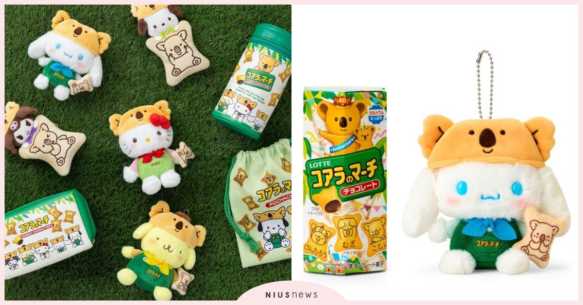 三麗鷗18款樂天小熊聯名開賣！酷洛米＆大耳狗戴上無尾熊頭套、餅乾零錢包太勸敗 三麗鷗、樂天小熊、樂天小熊餅乾、三麗鷗聯名、樂天小熊餅乾聯名