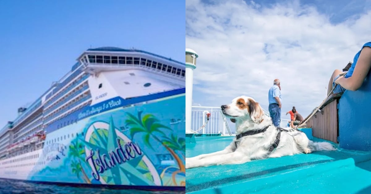 汪汪啟航！全球首艘狗狗友善郵輪，2025帶著毛孩體驗豪華海上假期：票價、航線出爐！ 郵輪、狗狗友善、寵物友善、狗狗旅遊、遊輪旅行
