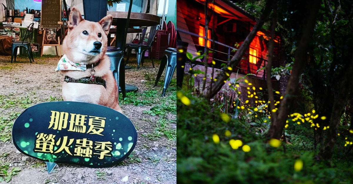 2025賞螢住宿推薦：6間寵物友善秘境住宿，和毛孩一起閃進春夏仙境！ 寵物友善、秘境、住宿、賞螢、螢火蟲