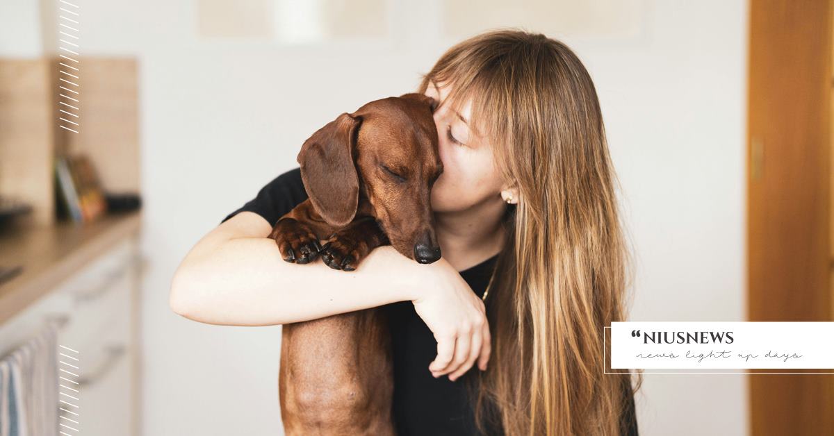 現在就存一支虛擬狗狗影片！哪天你快崩潰時，5分鐘的「毛毛安撫術」真的能救你 毛毛安撫術、虛擬狗狗、新知、療癒、紓壓