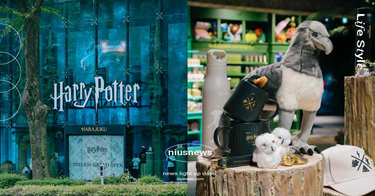 日本原宿《哈利波特》旗艦店開幕！8大亮點搶先看，兩層樓超過250坪還能喝奶油啤酒？ 哈利波特、哈利波特旗艦店、日本哈利波特旗艦店、哈利波特原宿、哈利波特專賣店、哈利波特周邊