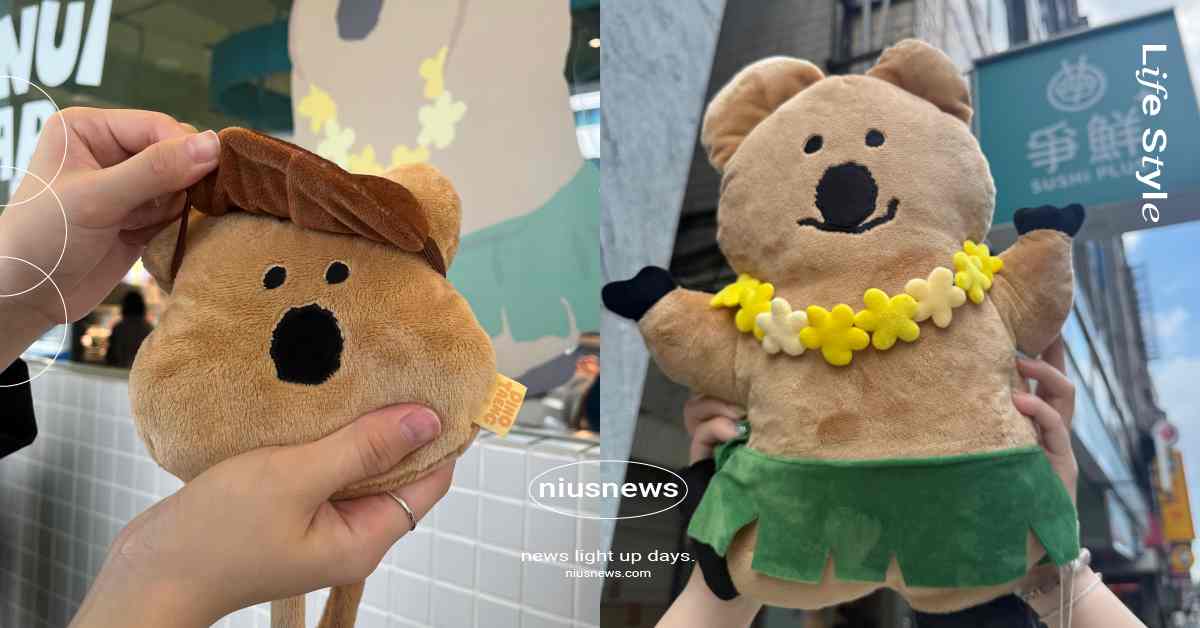 DINOTAENG聯名爭鮮10款小物開搶！超萌QUOKKA抱抱枕、錢包票卡夾超欠收 DINOTAENG、DINOTAENG聯名、DINOTAENG爭鮮、爭鮮壽司