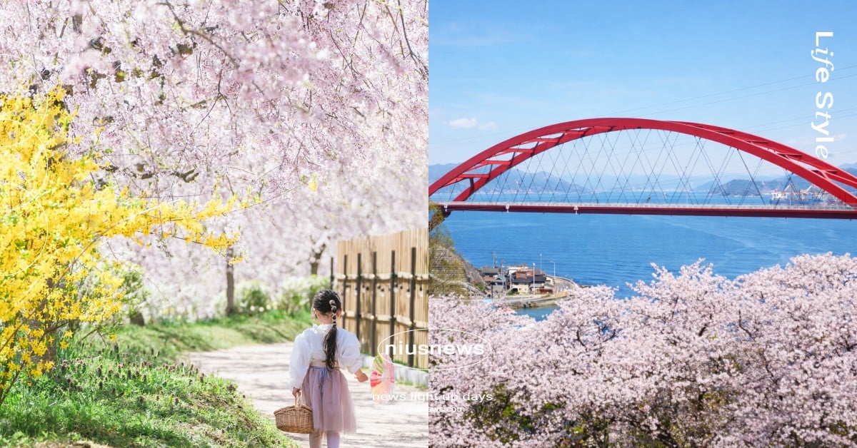 2026廣島必去6大私房賞櫻景點！世羅高原農場三色花海絕景、比治山公園遠眺瀨戶內海 日本櫻花季、日本賞櫻、日本賞櫻景點、廣島賞櫻、廣島賞櫻景點、廣島私房賞櫻景點
