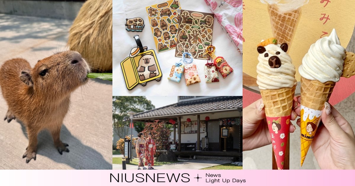 2026宜蘭最Chill玩法！入住綠舞飯店溜滑索、吃無菜單日料，斑比山丘餵梅花鹿、看水豚寶寶好療癒 宜蘭綠舞飯店、斑比山丘、