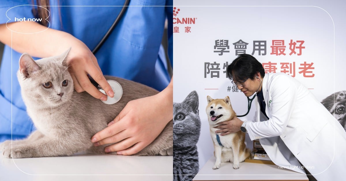 獸醫破解三大健檢迷思  法國皇家「健檢及早，相伴到老」10/1活動開跑 今年加碼《熟齡毛孩照護指南》 