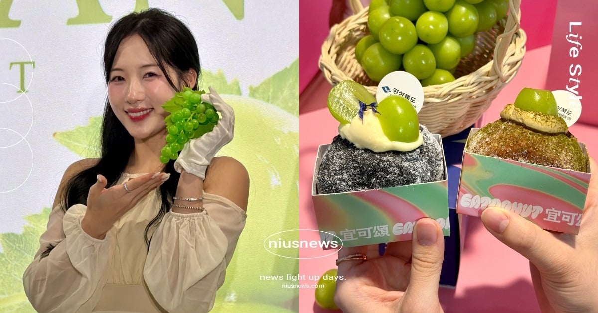 EATDONUT麝香葡萄生甜甜圈開賣！蜂蜜優格＆青茶柚子限時登場，韓籍啦啦隊朴旻曙任推廣大使 EATDONUT、EATDONUT生甜甜圈、EATDONUT聯名甜點、EATDONUT麝香葡萄、朴旻曙Mingo、韓國慶尚北道麝香葡萄
