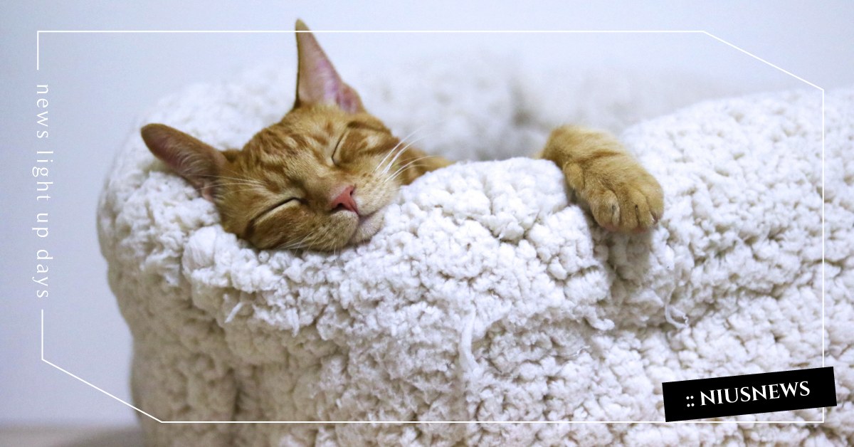 一起床就變美！睡美容覺的6個好習慣 美容覺、睡眠、起床、變美、習慣