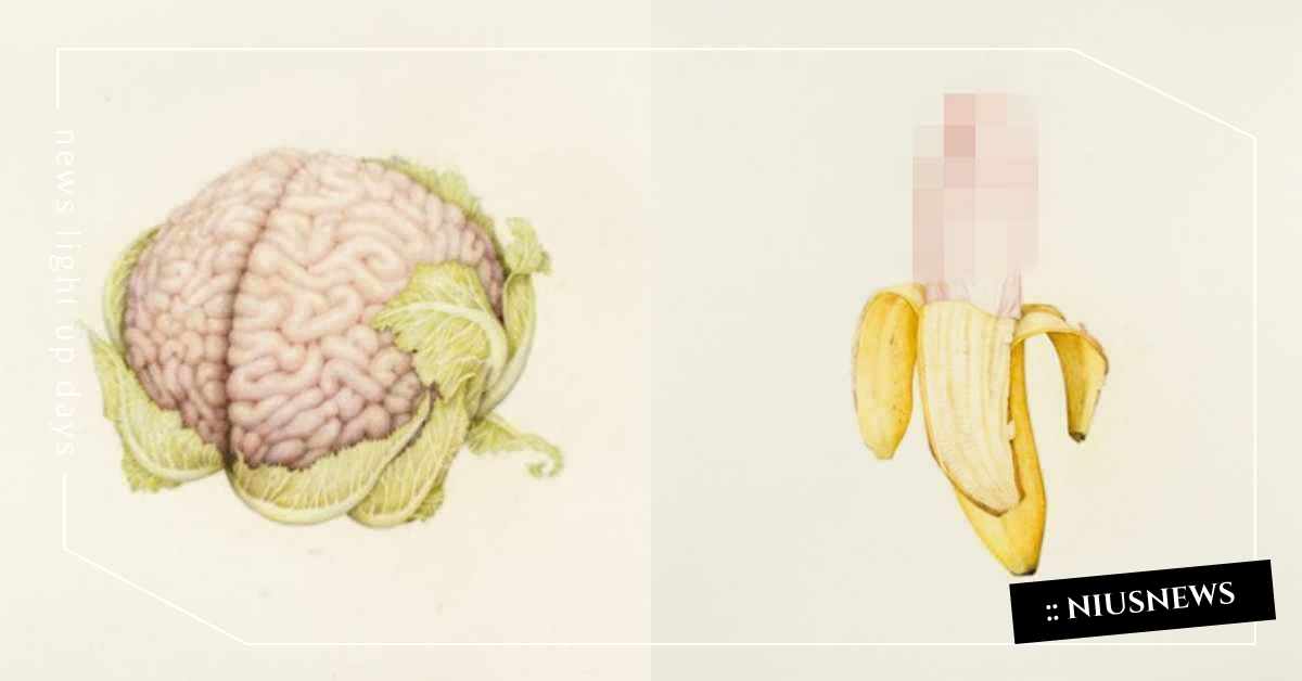 香蕉上長出這器官竟無違和！紐約藝術家創作「蔬果×人體」情色插畫集  18禁、限制級、情色、人體、蔬菜、水果、插畫、趣味、Aurel Schmidt、藝術
