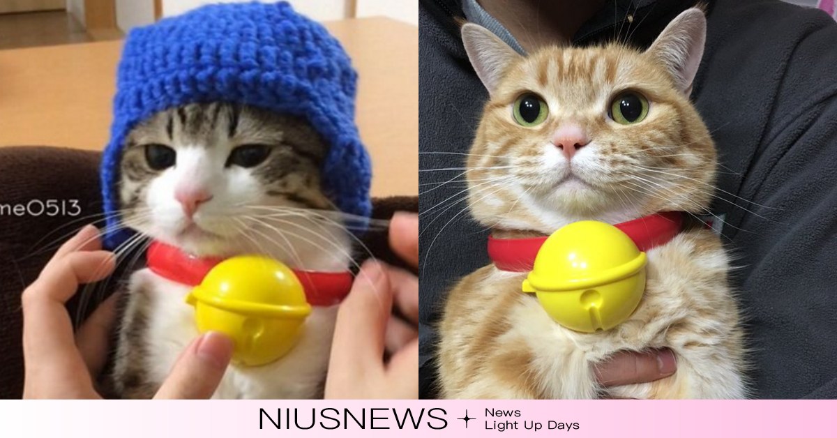 日本貓奴瘋搶！喵星人戴上「哆啦A夢鈴鐺」一秒變身小叮噹 ドラえもんの鈴、日本、麥當勞、哆啦A夢、鈴鐺