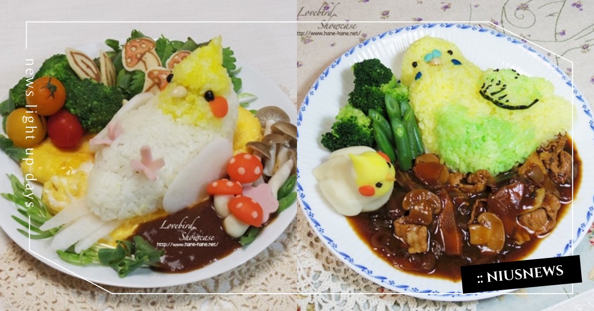 這根本就是鸚鵡手作博物館吧？日本推主巧手製作鸚鵡周邊萌翻網友 kaori、lovebirdshowcas、twitter、鸚鵡、手作