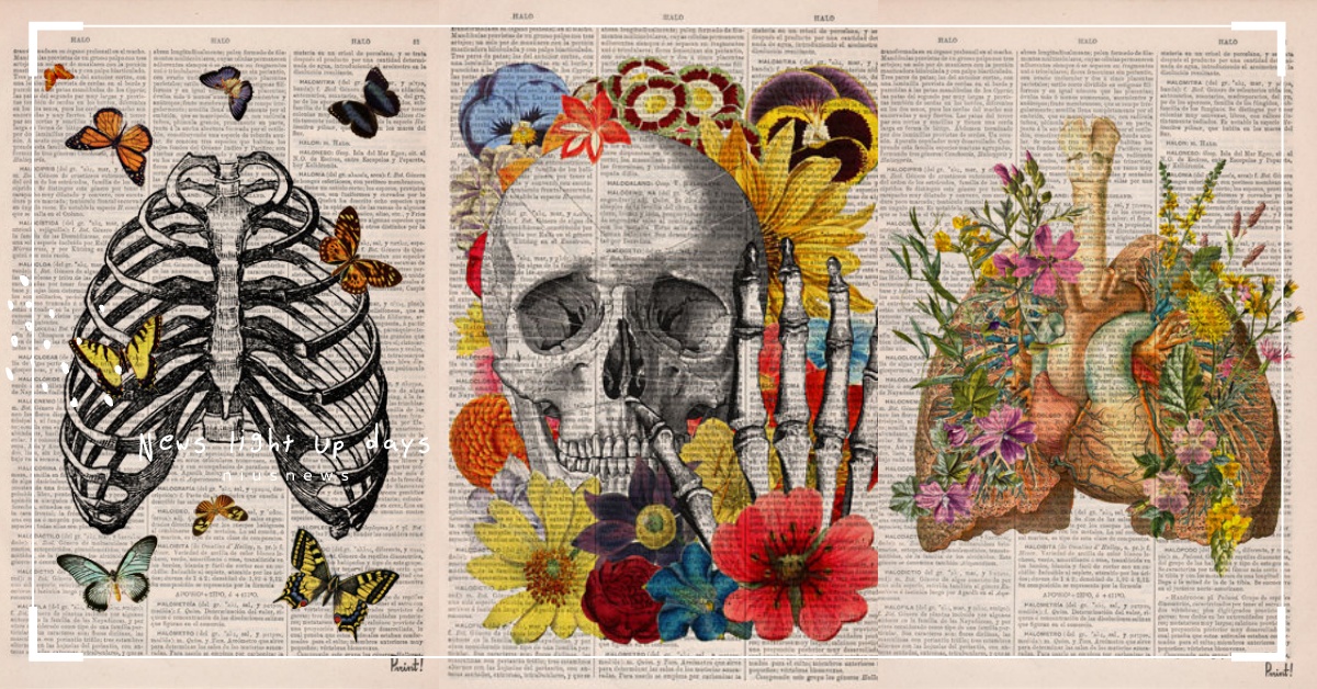 意圖使人採購泛黃字典！讓舊書重生的鮮花臟器插畫 書、舊物、古董、文青、紀念