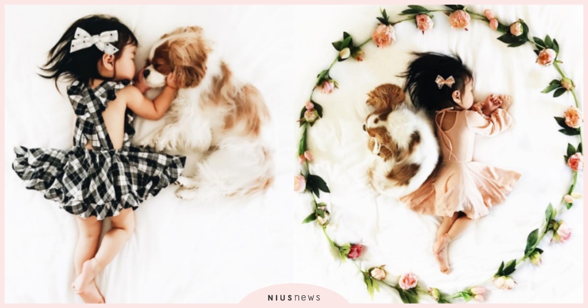 陪你一起長大！毛小孩＋小女孩暖心童年照，夢幻氛圍讓人大呼羨慕 童年照、夢幻、小孩、寵物、狗