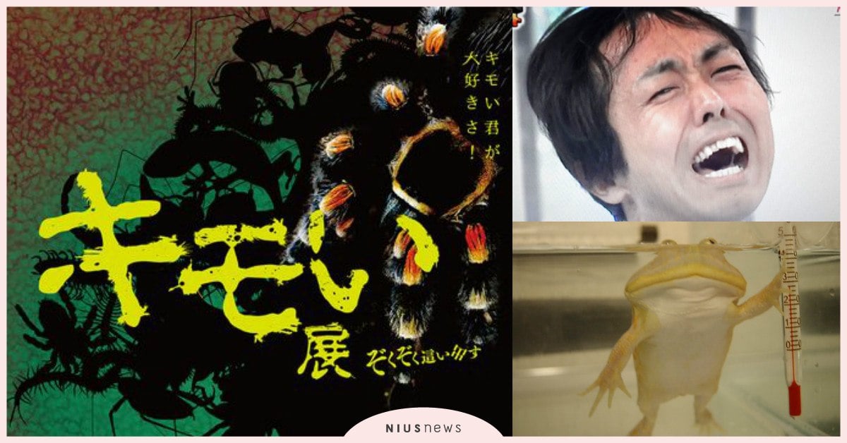 那盤子上有蟑螂你還吃？！日本超噁心「キモい展」讓你雞皮疙瘩掉滿地 キモい、噁心、可怕、獵奇、展覽、日本、特殊、新奇、有趣、雞皮疙瘩、閱覽注意、生物、非女孩二人組、田中