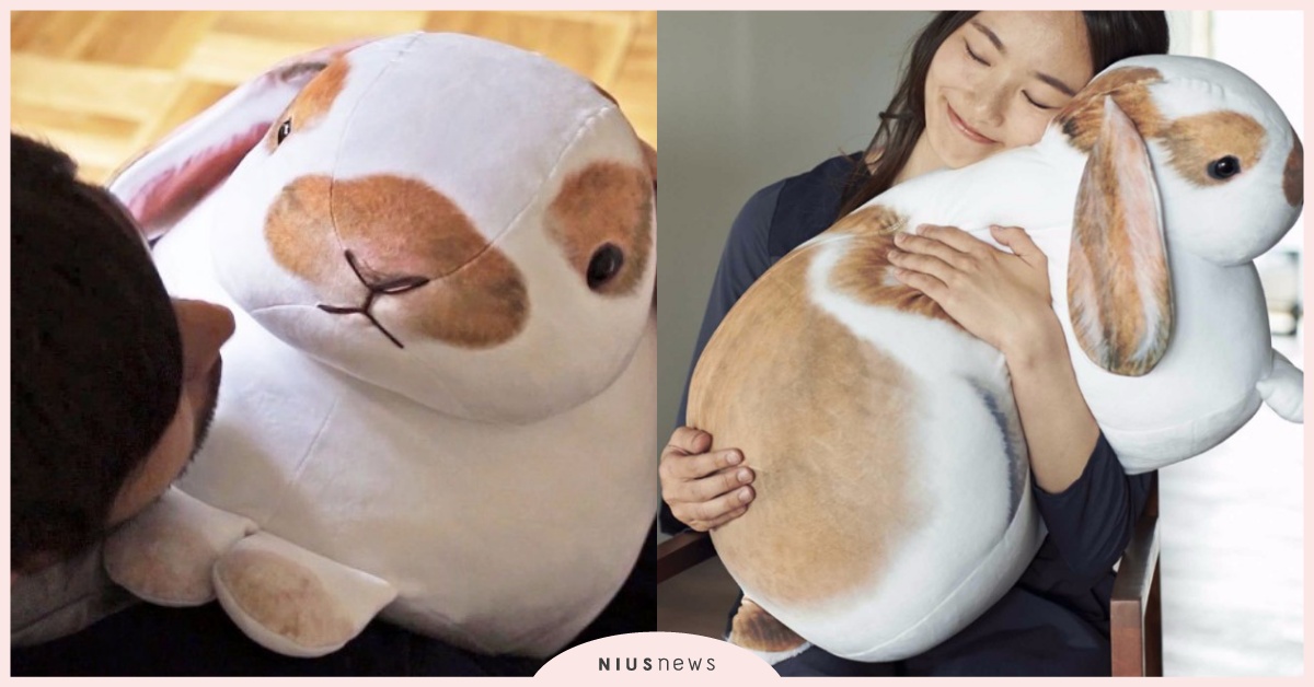 盡情搓揉兔兔的圓屁屁！超巨65公分兔兔抱枕神療癒，連男友都被攻陷？ 巨兔、垂耳兔、抱枕、FELISSIMO、安全感