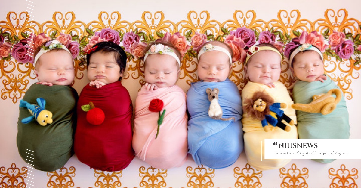 超萌公主系寶寶攝影，茉莉公主、小美人魚還原度100% 公主、寶寶、攝影、迪士尼、夢幻