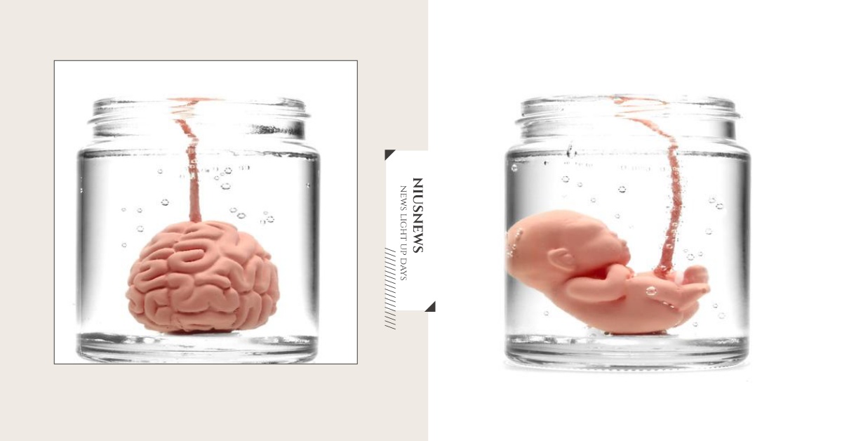 我把腦袋保存起來了！Brainfart55「器官香氛蠟燭」挑起你的血腥癖 Brainfart55、福馬林、香氛、蠟燭、燭台、嬰兒、人頭、器官、血腥、腦袋、心臟