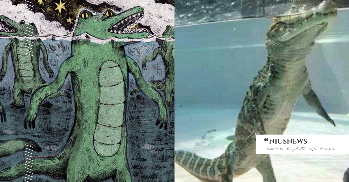 你知道嗎？鱷魚在水裡其實是用兩隻腳走路！？ 冷知識 鱷魚