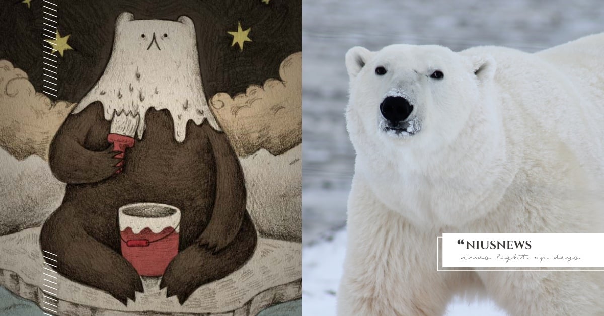 你知道嗎？北極熊其實不是白色的？！ 冷知識 北極熊 北極