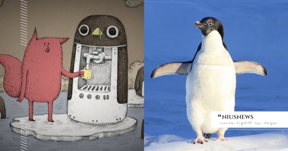 你知道嗎？企鵝其實可以過濾海水喔！？ 冷知識 企鵝 北極