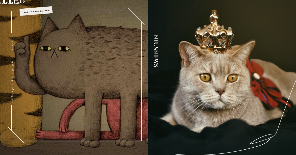 你知道嗎？在越南，貓是十二生肖的一份子喔 冷知識 貓 越南