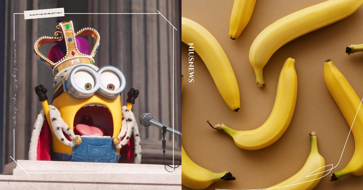 你知道嗎？人類和香蕉約有50%的基因是一樣的！ 冷知識 香蕉 基因