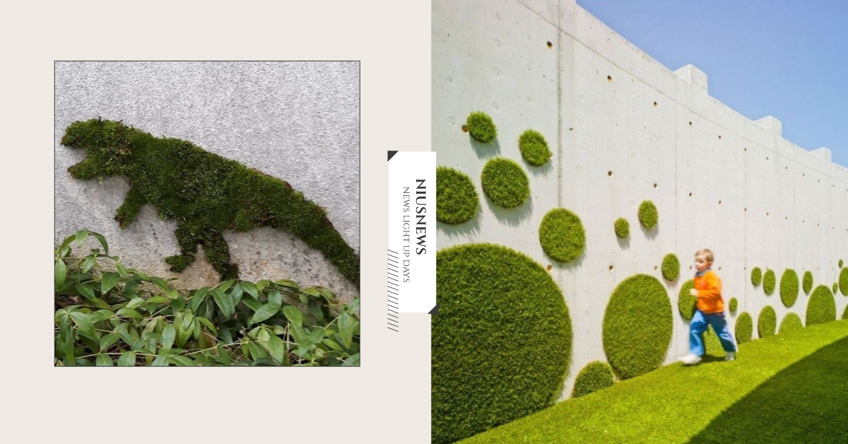 苔蘚塗鴉環保又自然！不起眼的小草也能變成藝術品 街頭塗鴉、苔蘚塗鴉、藝術、環保、自然、新趨勢、藝術