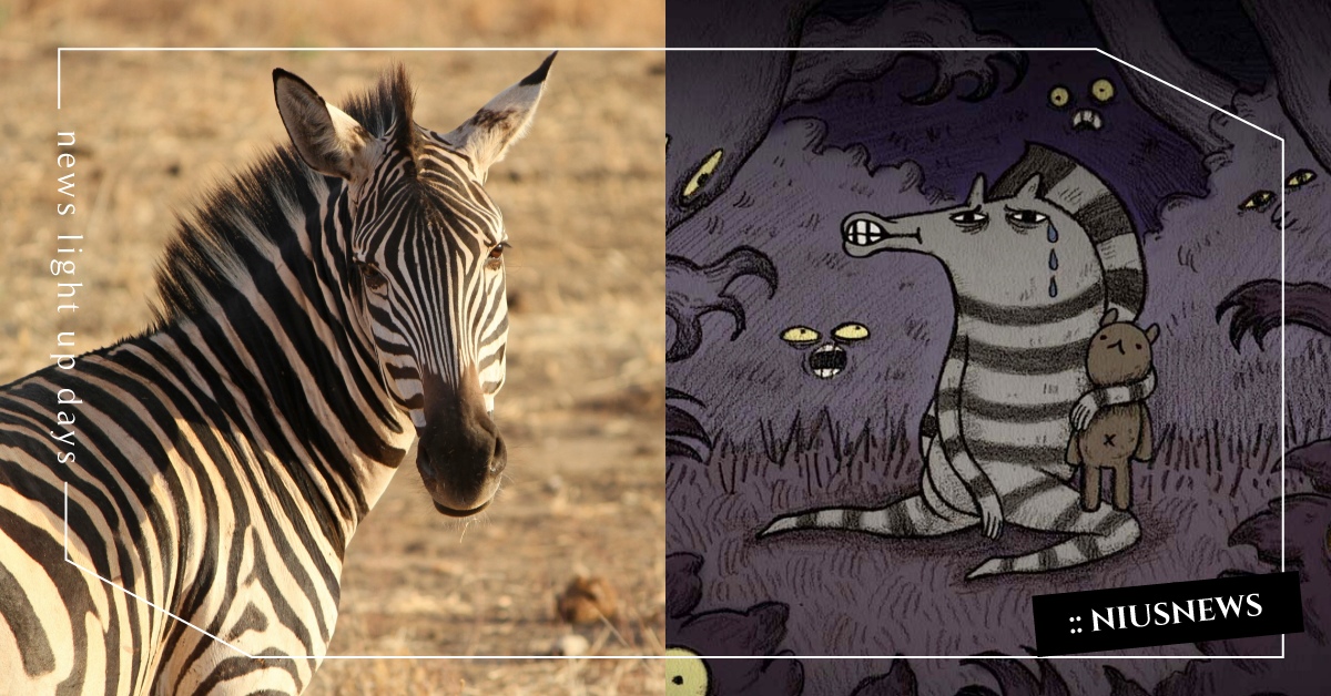 你知道嗎？斑馬通常要有人陪才睡得著喔 冷知識、斑馬、動物