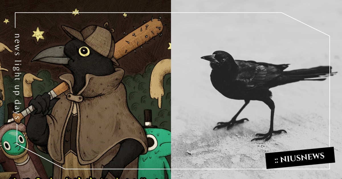 你知道嗎？烏鴉其實很會認仇人的臉喔 冷知識、 記仇、 聰明動物、 鳥類