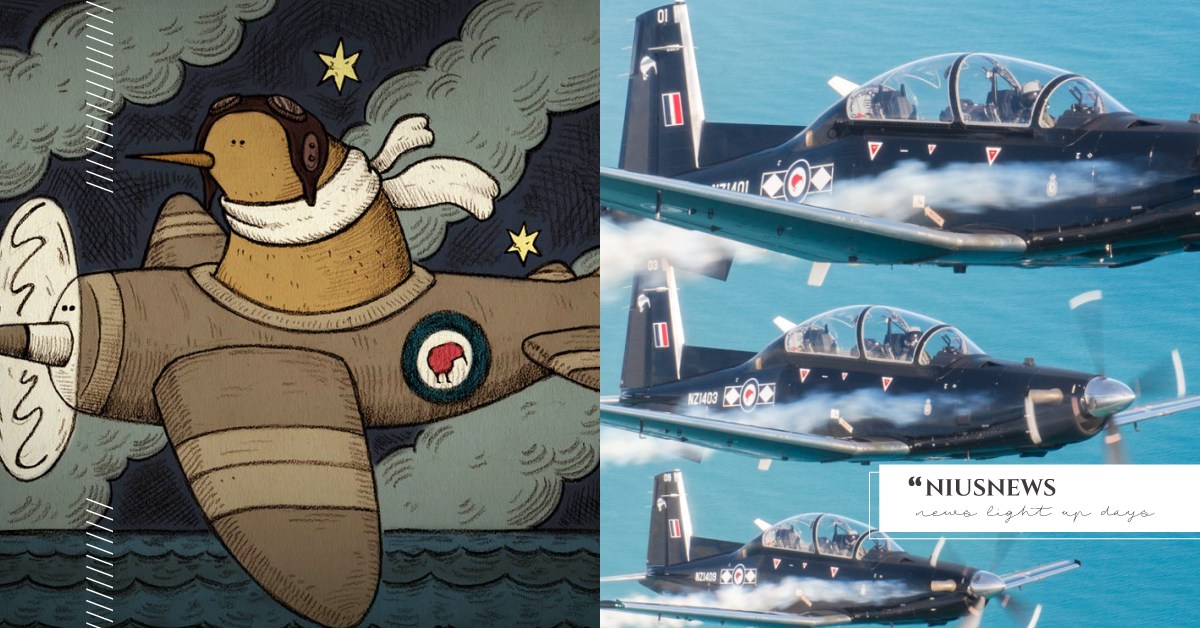 你知道嗎？紐西蘭空軍是用「奇異鳥」當標誌喔 冷知識、 kiwi、 機徽、 可愛