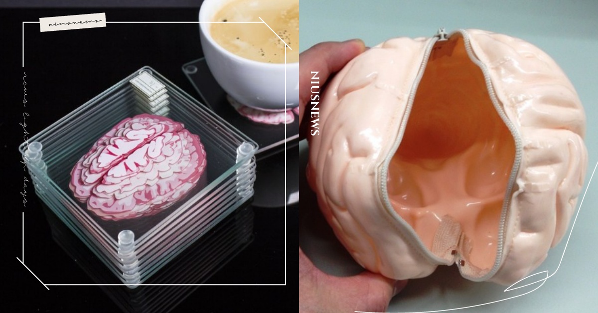 腦切片杯墊、大腦錢包、脊椎蠟燭！超獵奇的「器官」生活小物 獵奇、大腦、器官、脊椎、獵奇小物、蠟燭、腦切片、脖子滲血、頸鍊、小血腥、villagevanguard