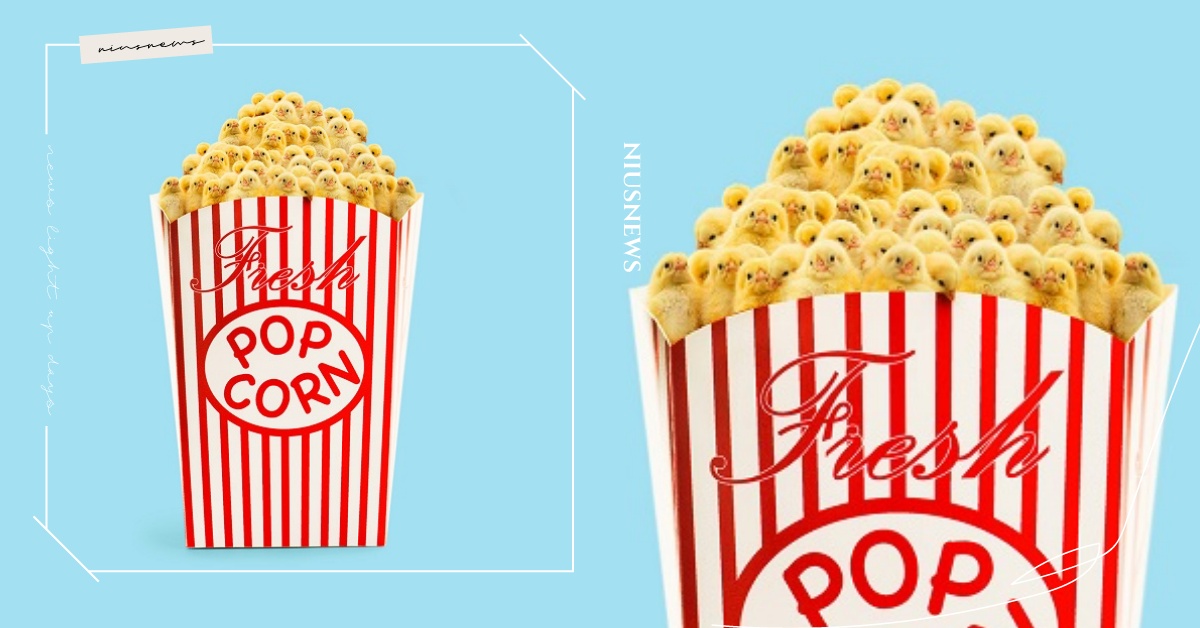 小雞變成爆米花、巴哥犬變熱狗？「微獵奇」合成藝術照後勁十足 合成、藝術、美國、設計、創意、合成照、Randy Lewis、藝術