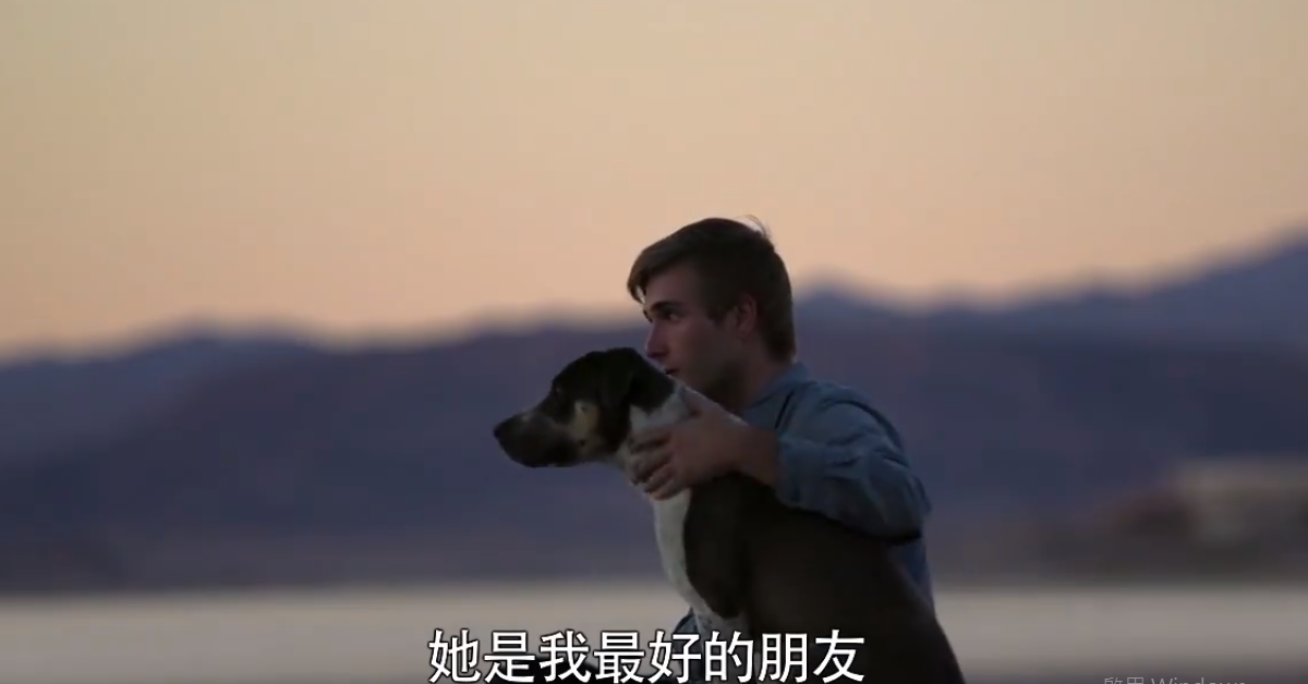 領養一隻浪浪，人生反而被牠拯救了 浪浪、溫馨、感人