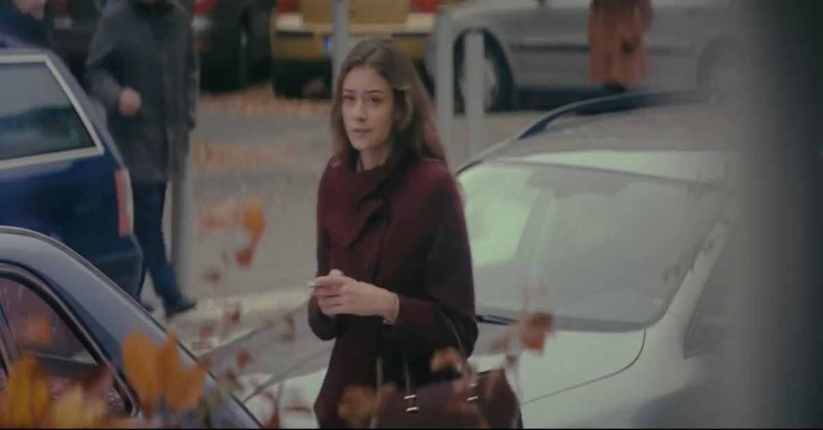 能讓陽光透進窗戶，就能看到更多外面世界無限的機會 窗戶廣告、寵物、貓、貓與主人、陽光、生活品質