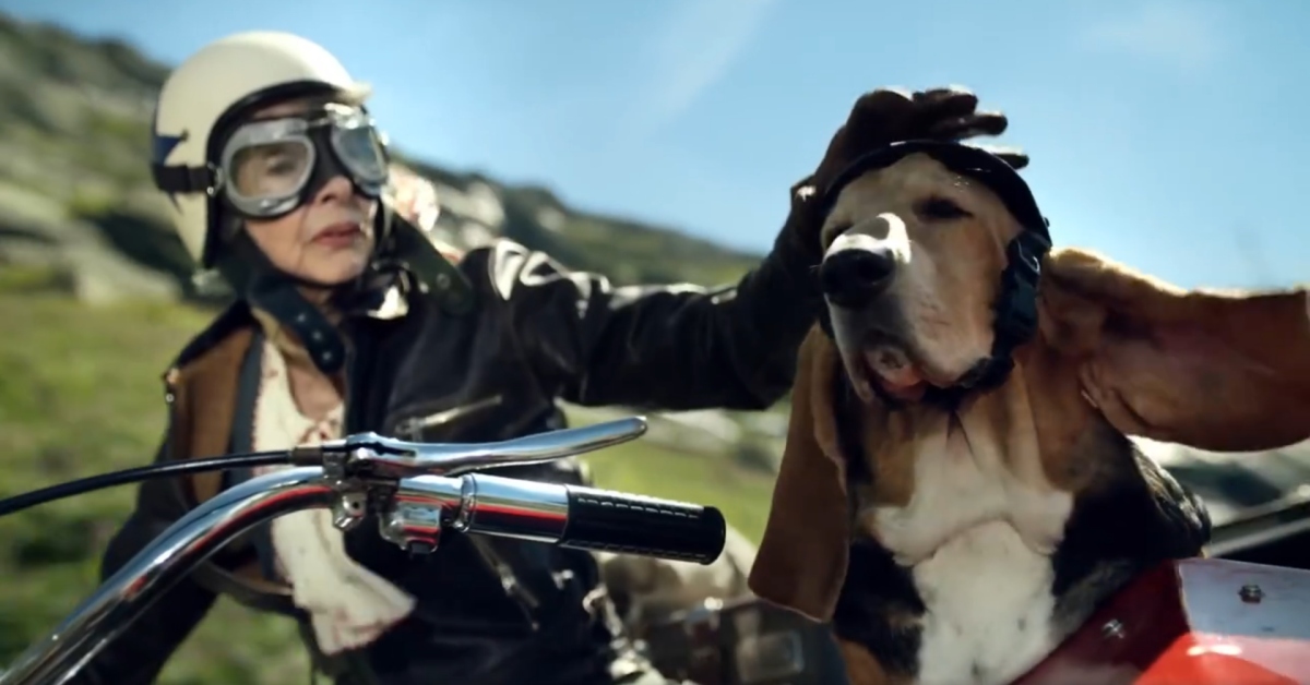 旅行不受限，來一趟說走就走的旅行吧！ 旅行、老人、狗、冒險、勇敢