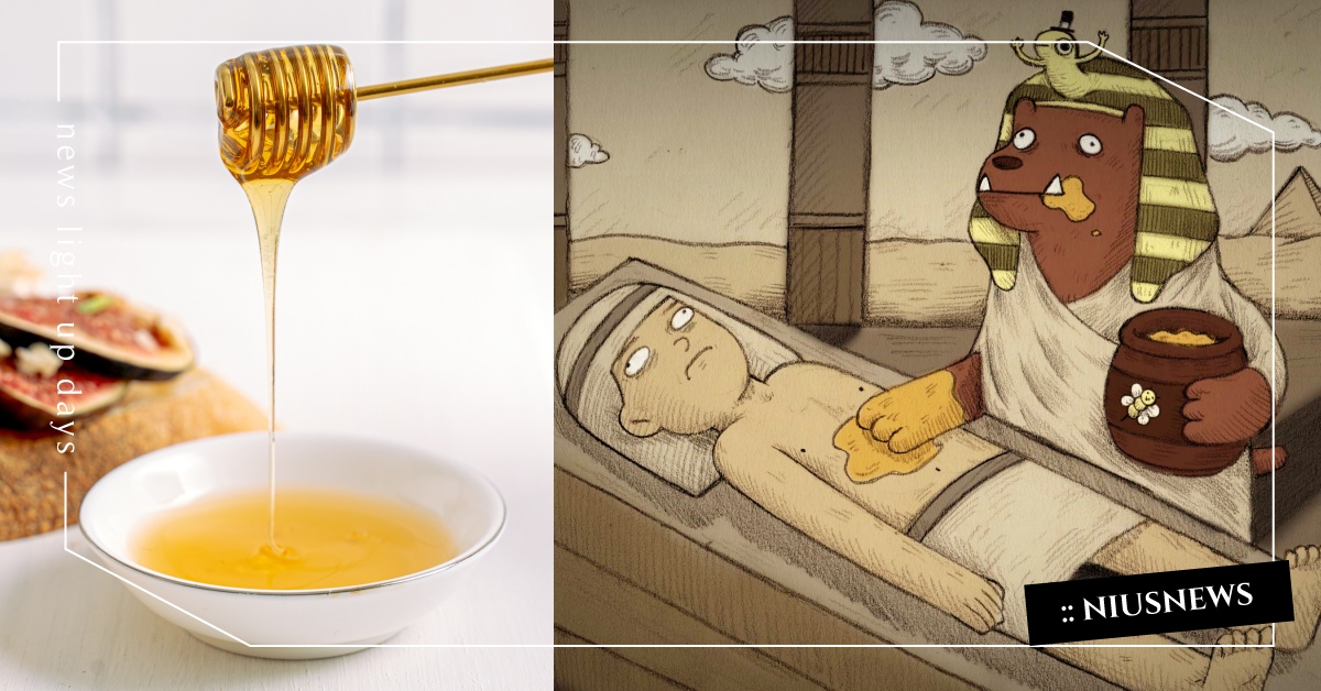 你知道嗎？古埃及人把蜂蜜當作仙藥喔 冷知識、 抗氧化、 醫藥